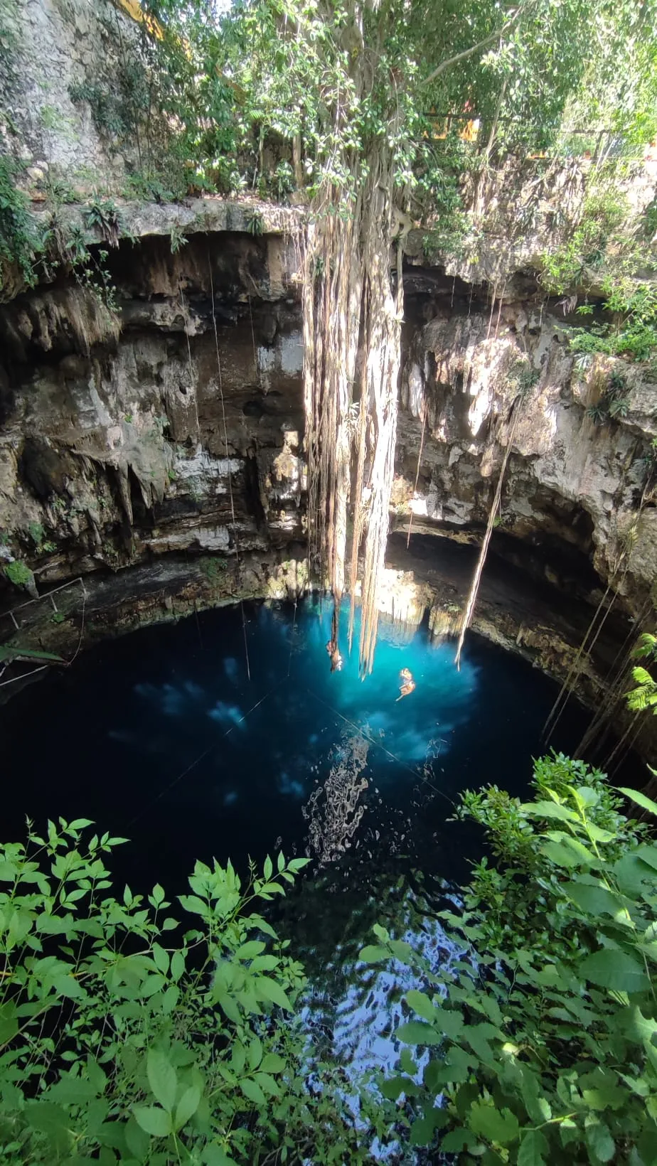 Baignade dans un cénote