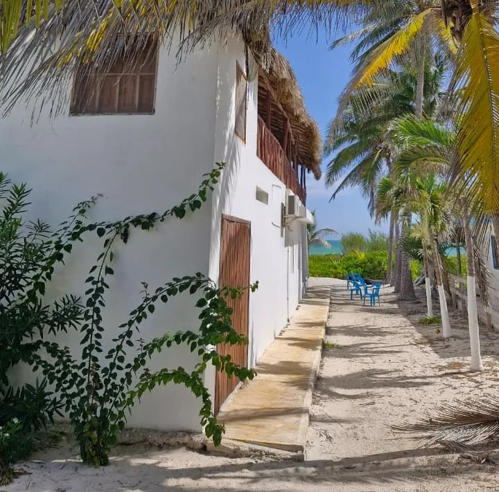 Sentier entre les cabanes dans la jungle