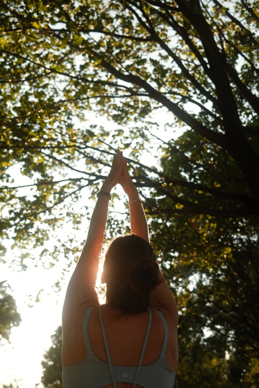 Pratique de yoga dans la jungle